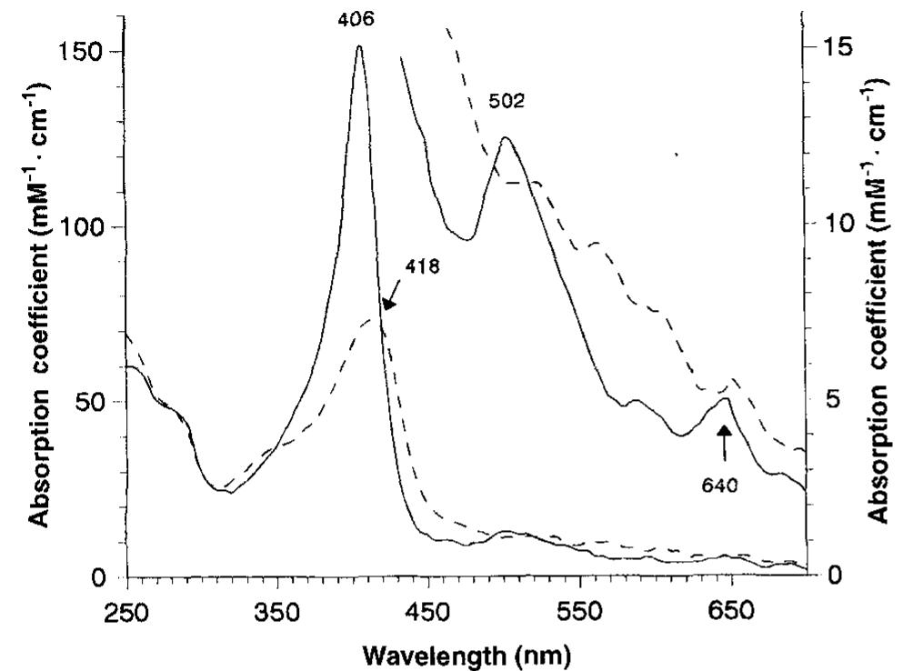 Ultraviolet-visible absorption spectra of native and