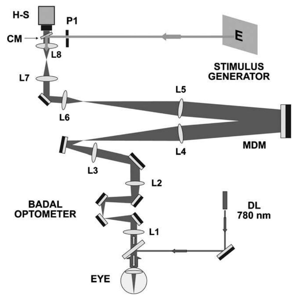 A schematic drawing of the adaptive optics vision simulator
