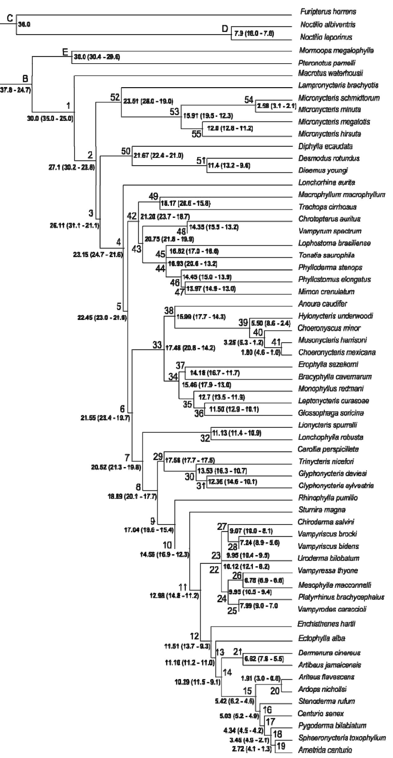 (PDF) Molecular time scale of diversification of feeding strategy and ...