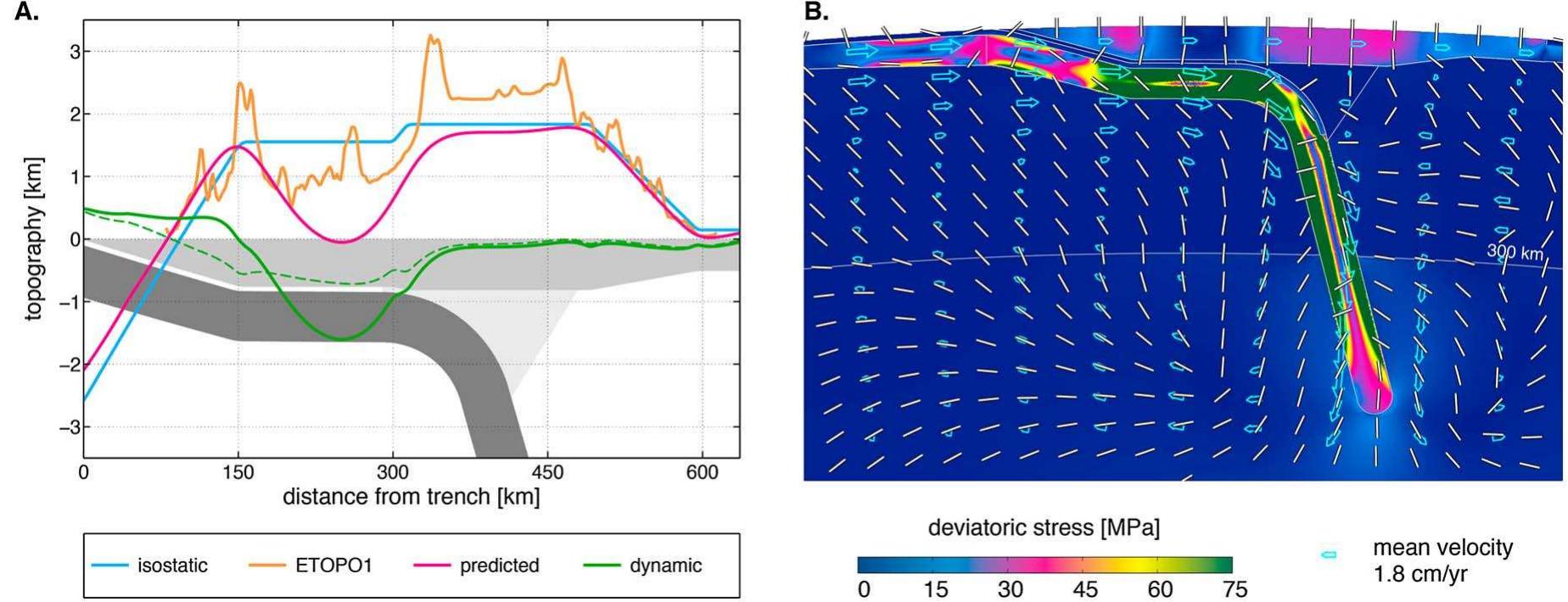 Role of the weak zone viscosity: high coupling (model d).