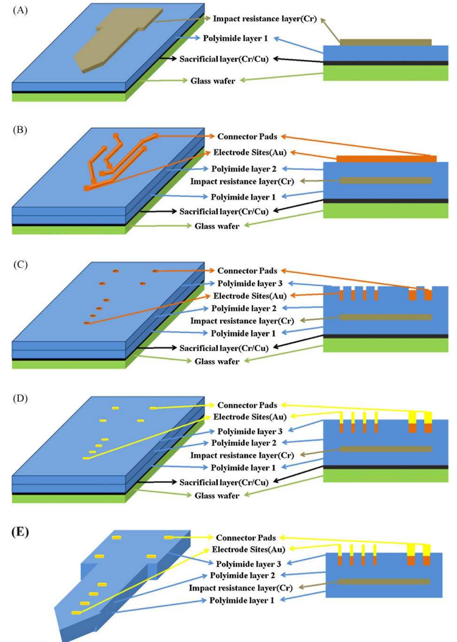 (PDF) Design and fabrication of a polyimide-based microelectrode array ...