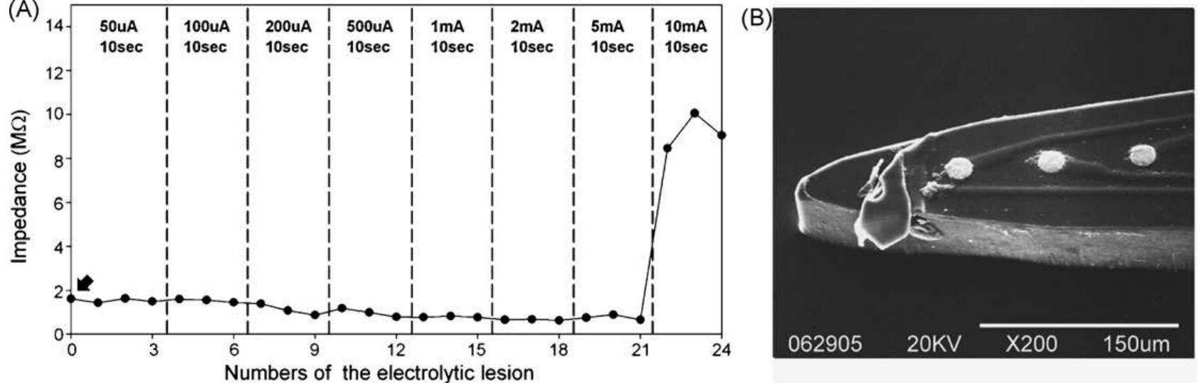 (PDF) Design and fabrication of a polyimide-based microelectrode array ...