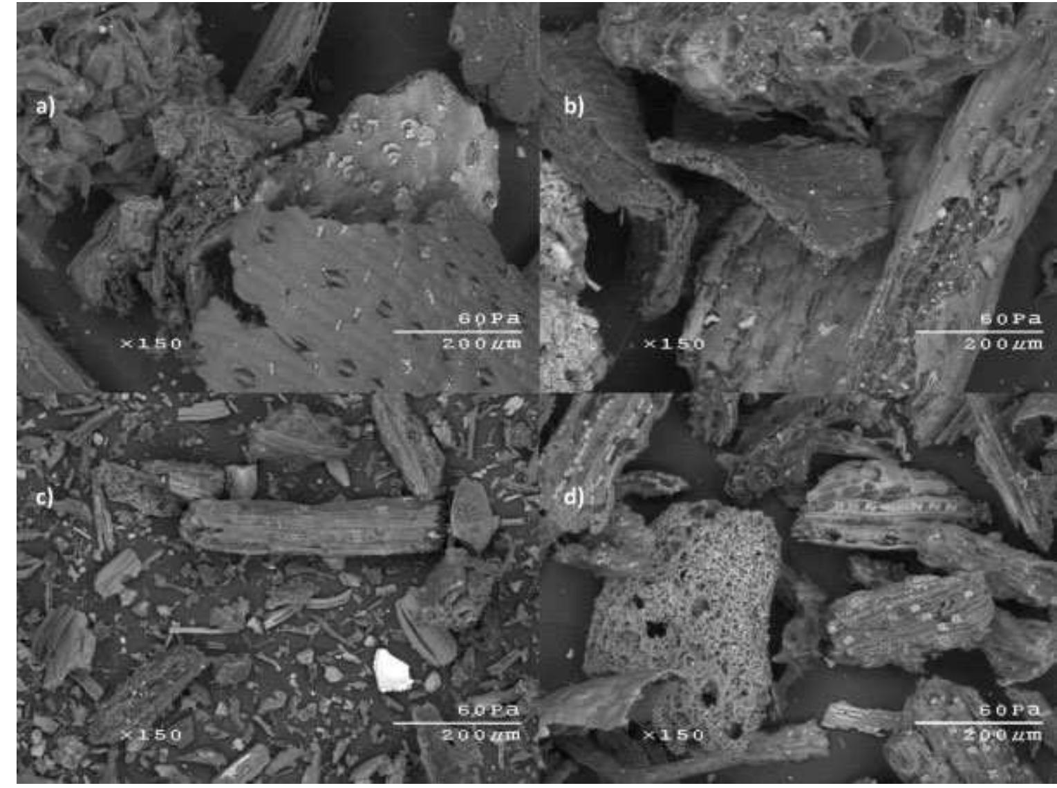 (PDF) Characterization of biochar from fast pyrolysis and gasification ...