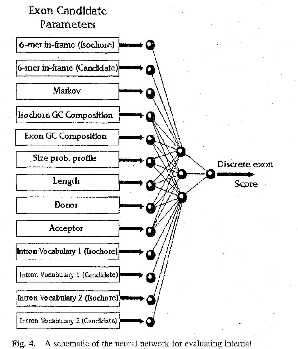 (PDF) GRAIL: a multi-agent neural network system for gene identification