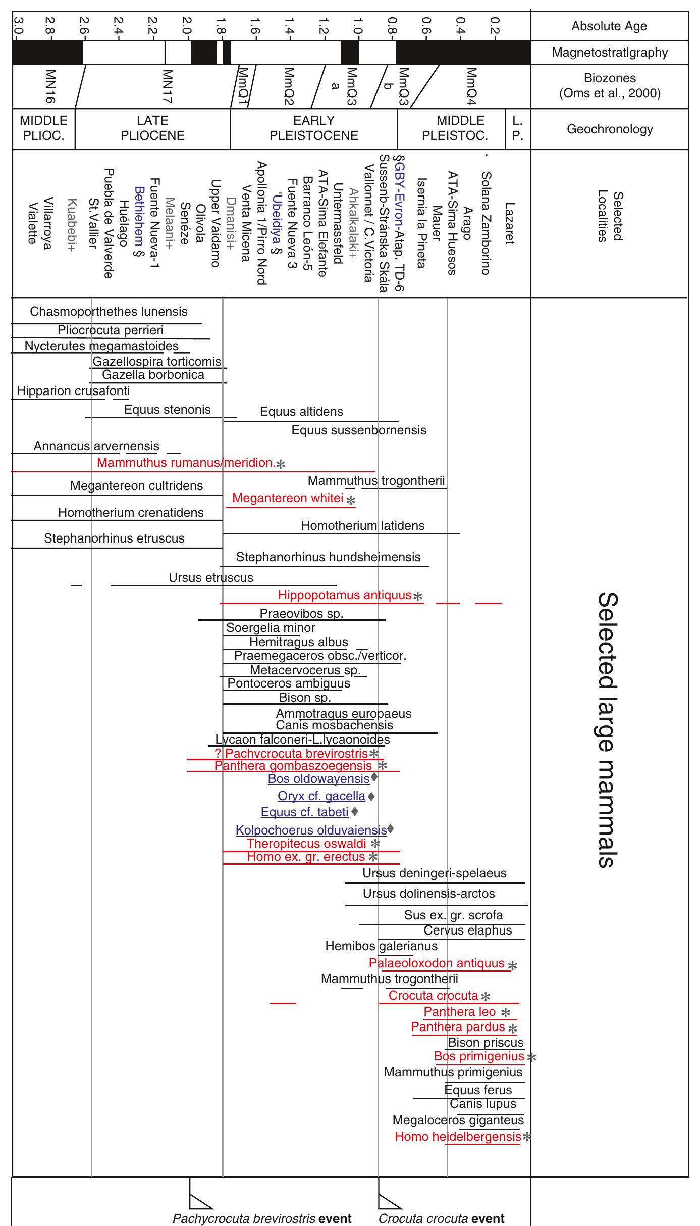 (PDF) Early Pleistocene Faunas of Eurasia and Hominin Dispersals