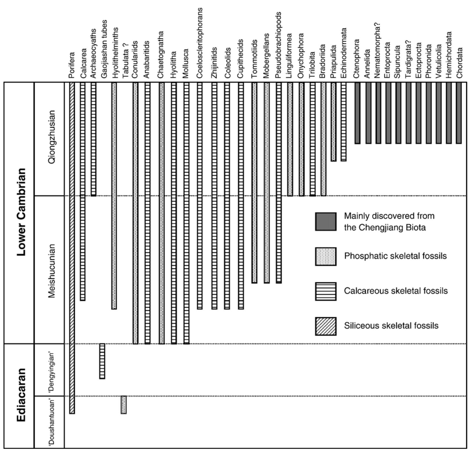 (PDF) Early Cambrian metazoan fossil record of South China: Generic ...