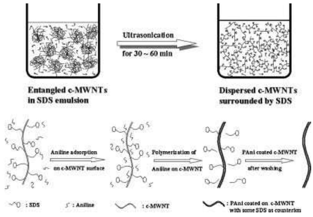 Scheme 1. Schematic representation of the formation mechanism of the PAni/c-MWNT nanocomposites in the presence of SDS emulsion. 
