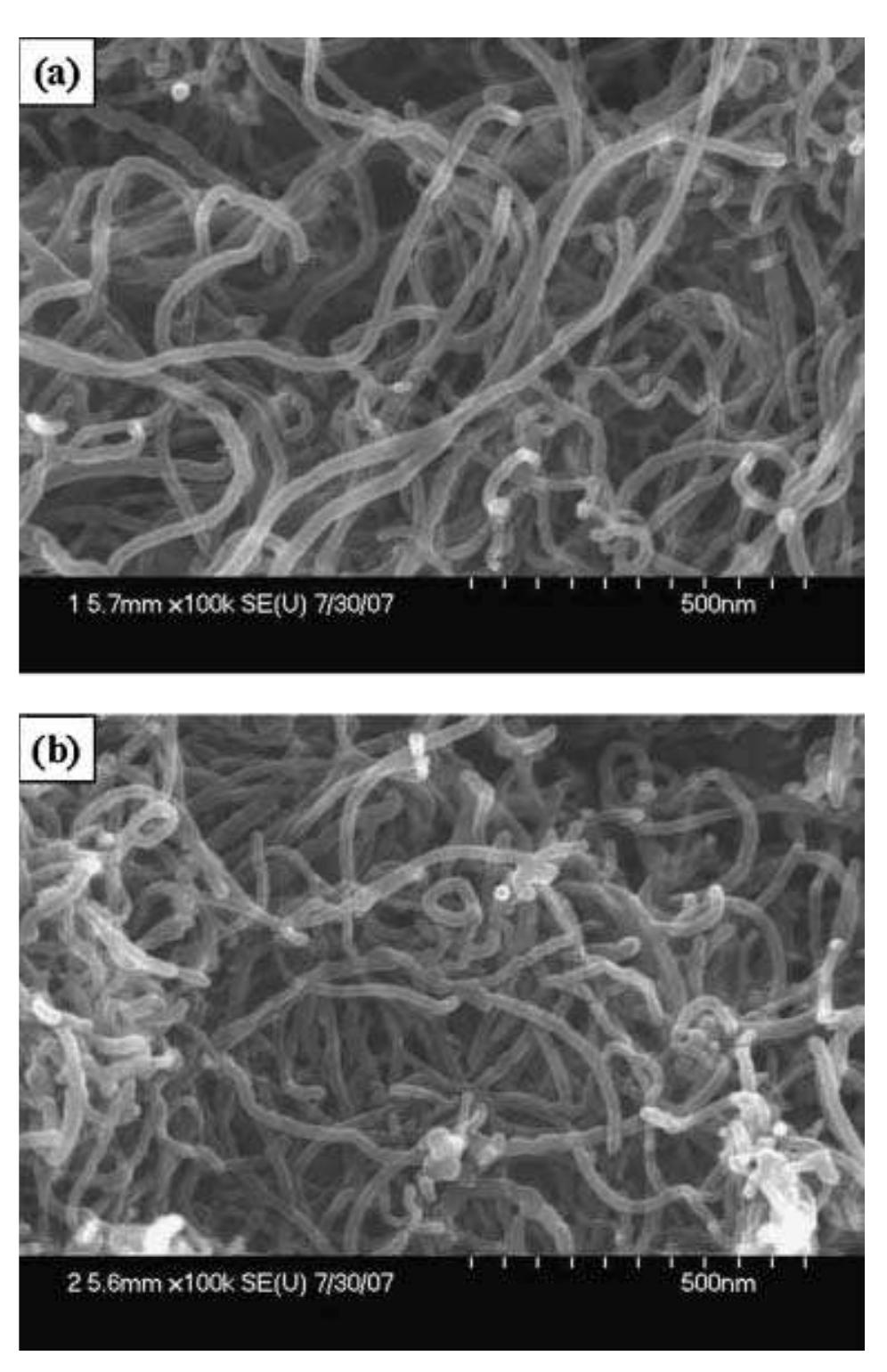 Figure 2. FE-SEM images of MWNTs (a) before and (b) after oxidation.  is the z—-z electron interaction between the MWNTs and the aniline monomer”? and the other is the hydrogen bond interaction between the carboxyl groups of the c-MWNTs and amine groups of the aniline monomers. Such a strong 