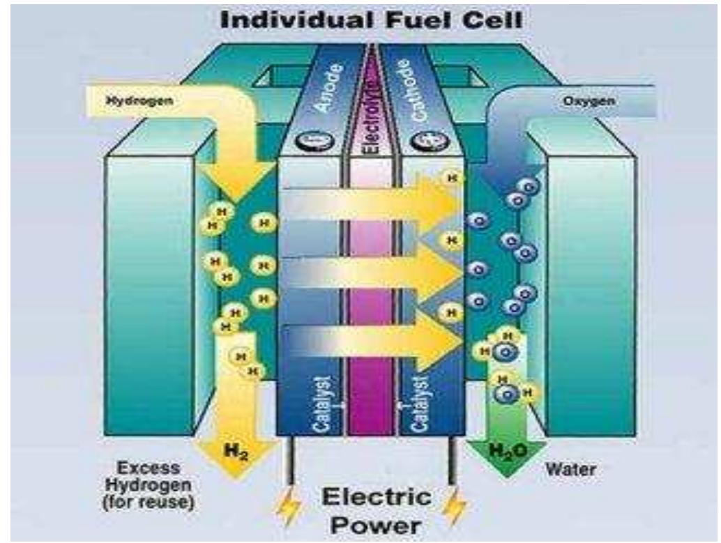 3 schematic diagram of a fuel cell [13] in fig. 2.3 the