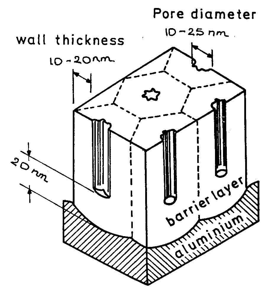 Fig. 1. Schema of the structure of the unsealed oxide layers formed on aluminium. 