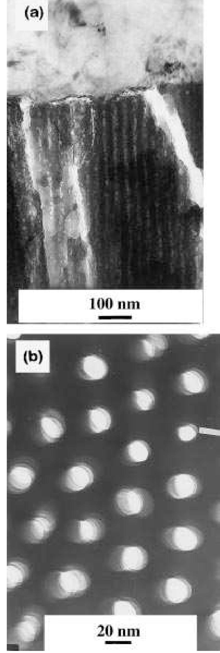 Fig. 4. TEM micrograph of anodized film allowed to autoseal for two years in the atmosphere of Madrid, showing a band structure in the zone near the barrier layer (a), and cross-sectional view of newly anodized unsealed film (b). 