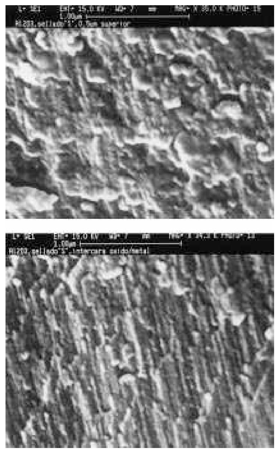 Fig. 5. Scanning electron micrographs of the oxide film/atmo- sphere interface. In the sealed specimen the formation of an in- termediate layer (top) destroys the band structure of the porous layer (bottom). 