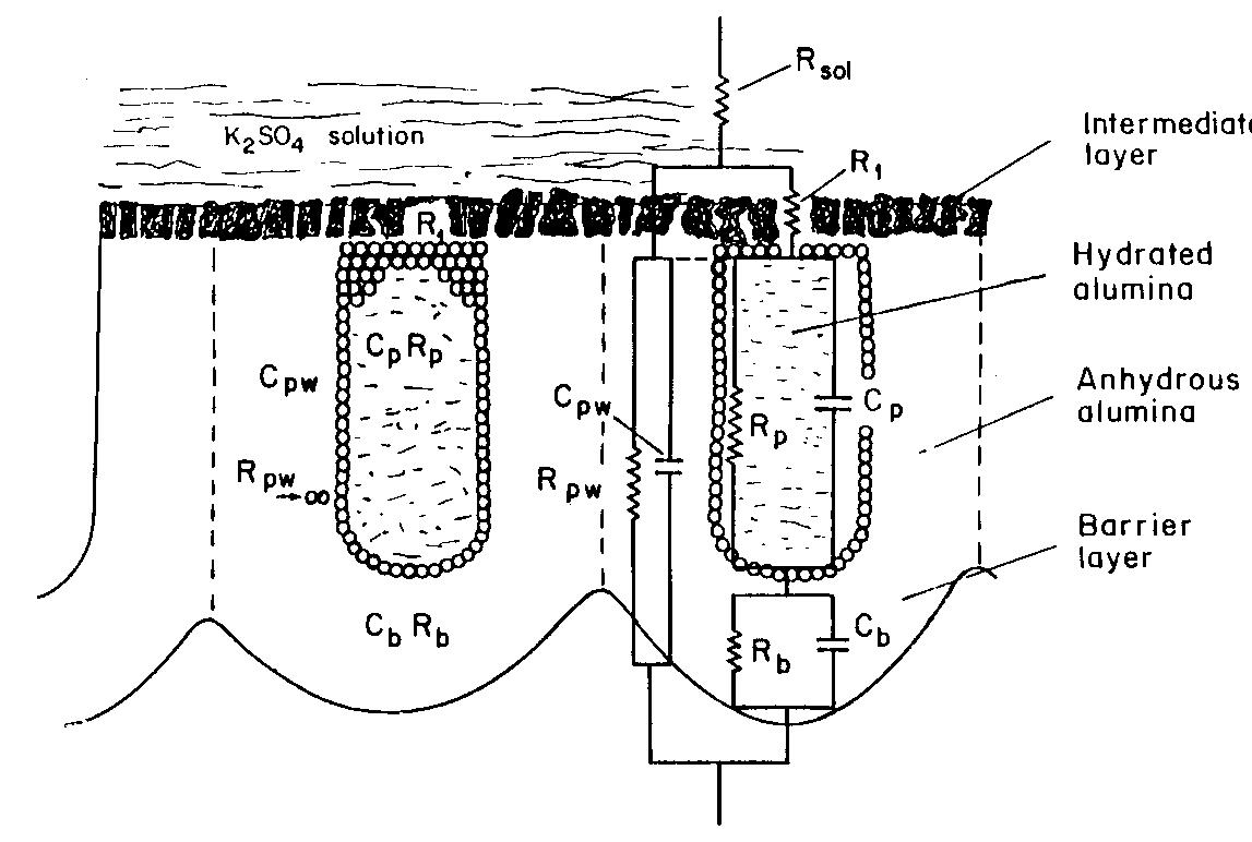 Fig. 11. Schema of the structure of an anodized aluminium oxide film. Proposed EC is superimposed.  Because the time constant results in characteristic frequencies in the nHz range (Table 1) which are dis- tant from the lowest frequency used in the tests (1 mHz), estimated (extrapolated) R, values will be highly uncertain. However, the data in Table | suggest  If a permittivity of 20 for the barrier layer is also assumed, Cy values about | wF (e.g., those calculated from the impedance diagrams and given in Table 1) would lead to a barrier layer thickness of 17.7 nm. This is consistent with the result expected from the use of an anodizing voltage of 15 V (the films thus formed are widely accepted to be 1.0-1.4nmV7' thick) [3]. As can be seen from Table 1, 1000 times 