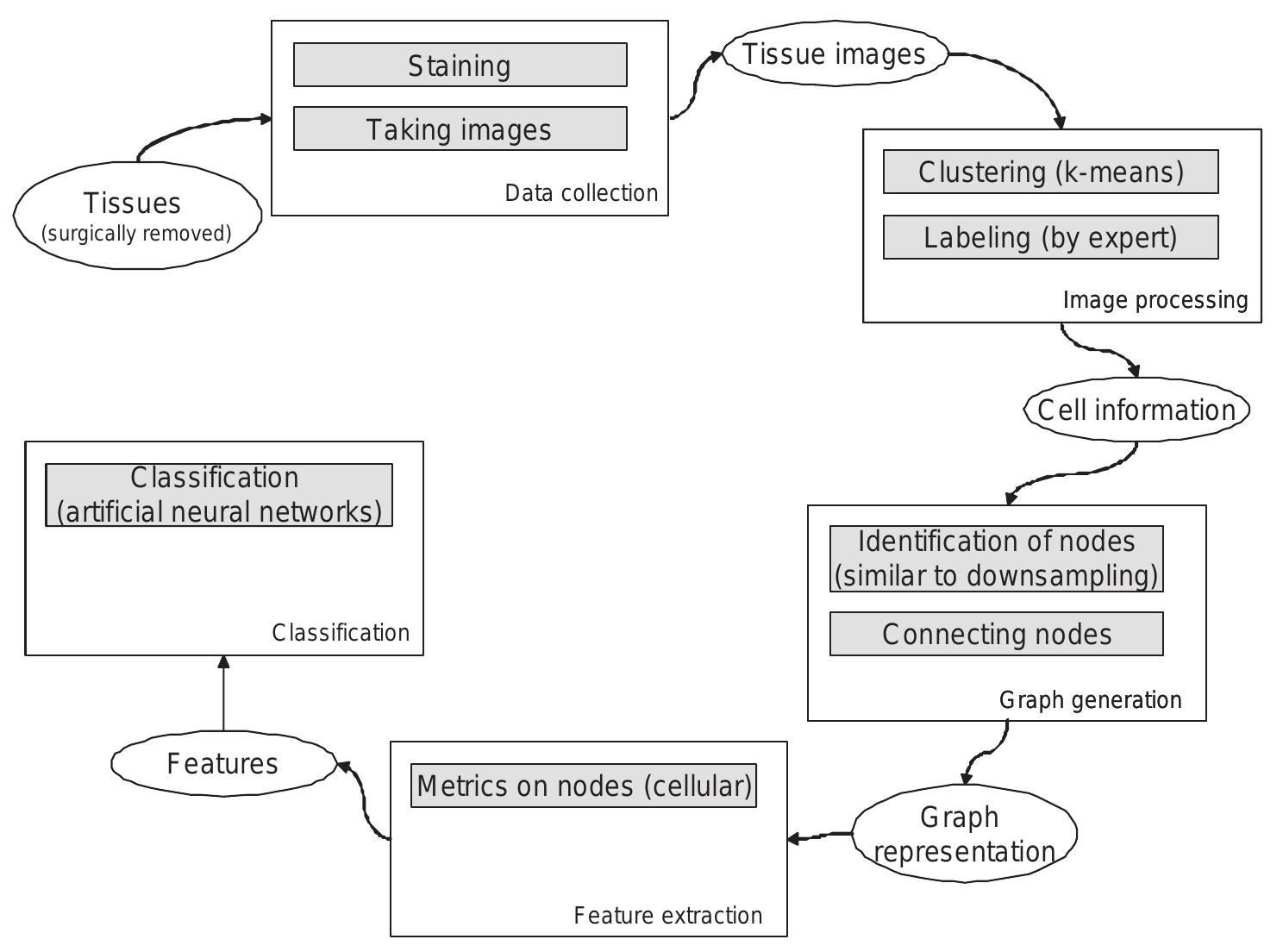 A schematic presentation of our methodology. the image is