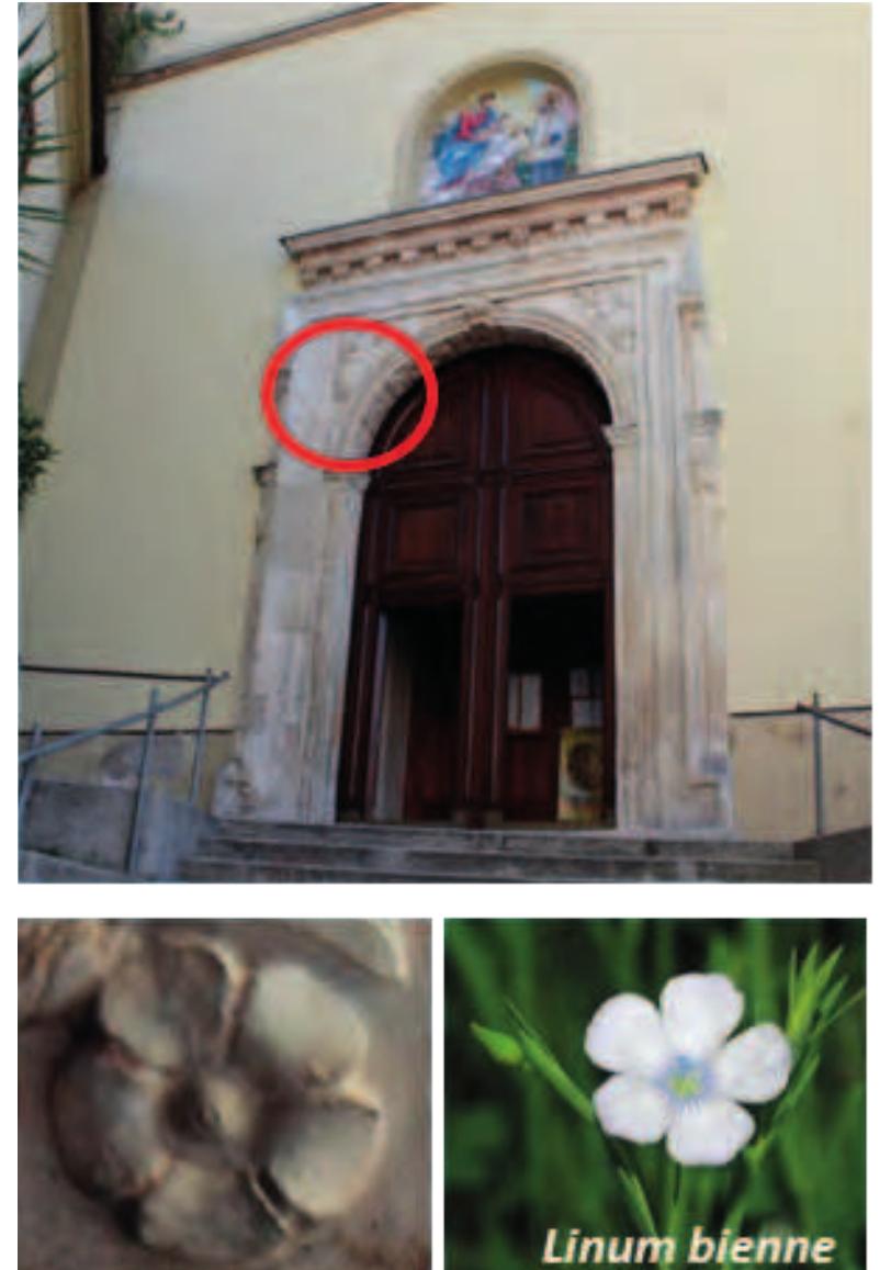 Untitled, image size:812x1157