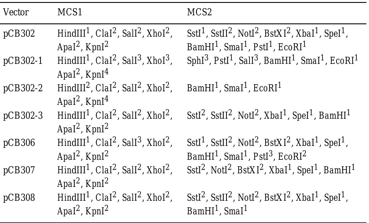 (PDF) A mini binary vector series for plant transformation