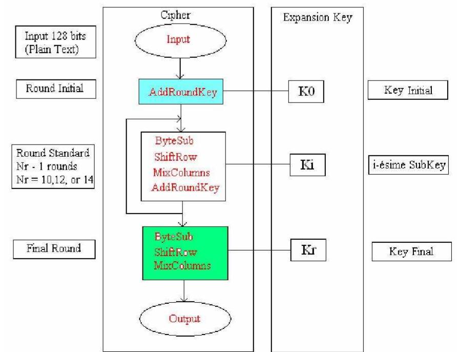 Fig. 1 [ 2 ]. Operation of the algorithm. It shows the two blocks which make the algorithm.  In this case of study we use: Nr = 10 when Nk = 4. Figure 1 shows the operation of the algorithm in a general way.  For algorithm AES, the number of rounds to be made during the execution of the algorithm is a function of the size of the key. The number of rounds is represented by Nr; where Nr = 10 when Nk = 4 (number of words of 32 bits the key); Nr = 12 when Nk = 6 and Nk = 14 when Nk = 8.  In this case of study we use: Nr = 10 when Nk = 4. Figure 1 shows the operation of the algorithm in a general way. 