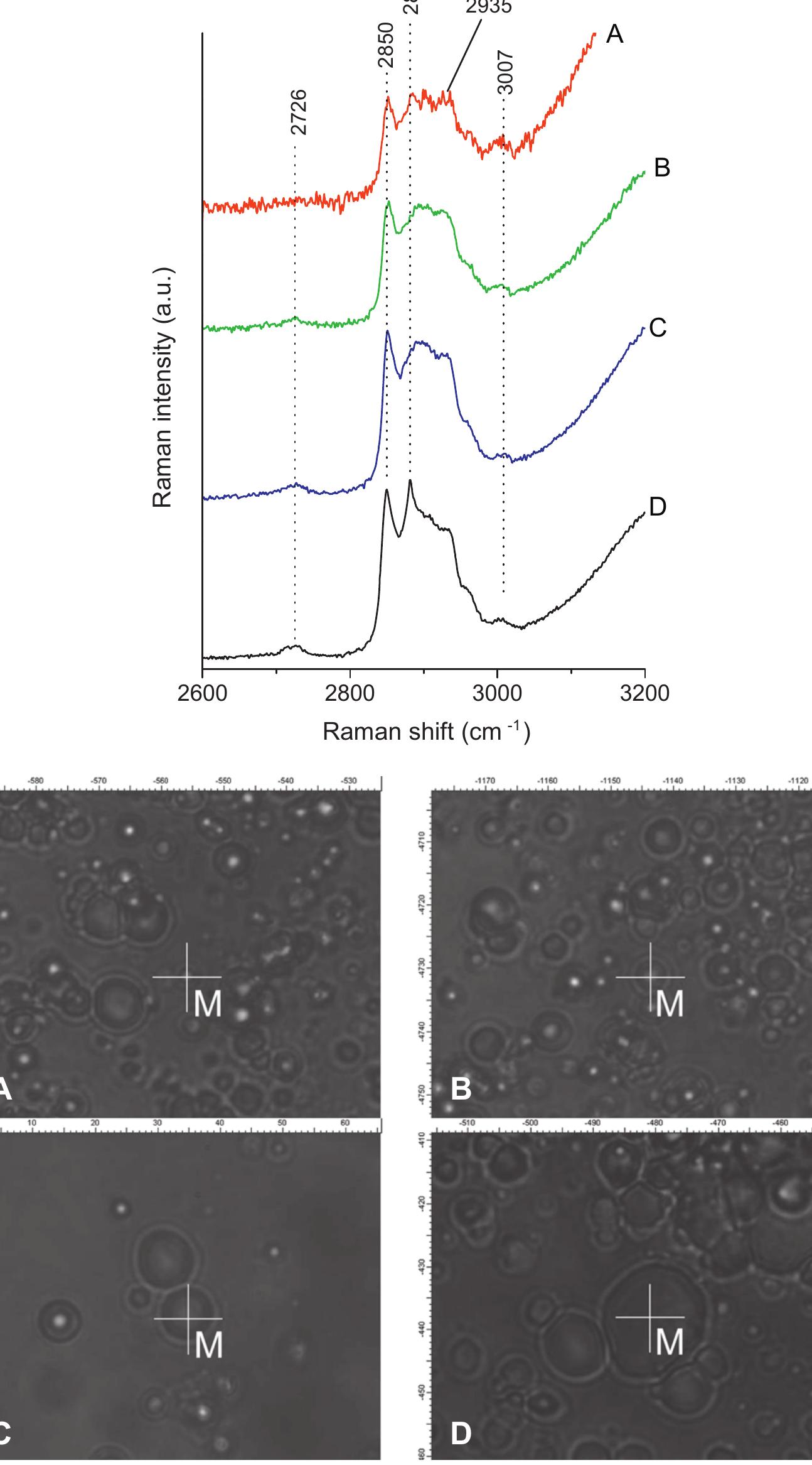 (PDF) Composition of bovine milk fat globules by confocal Raman microscopy