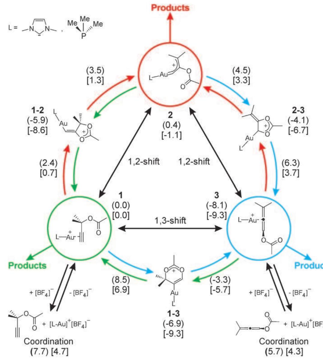 Schematic representation of the thermodynamics associated