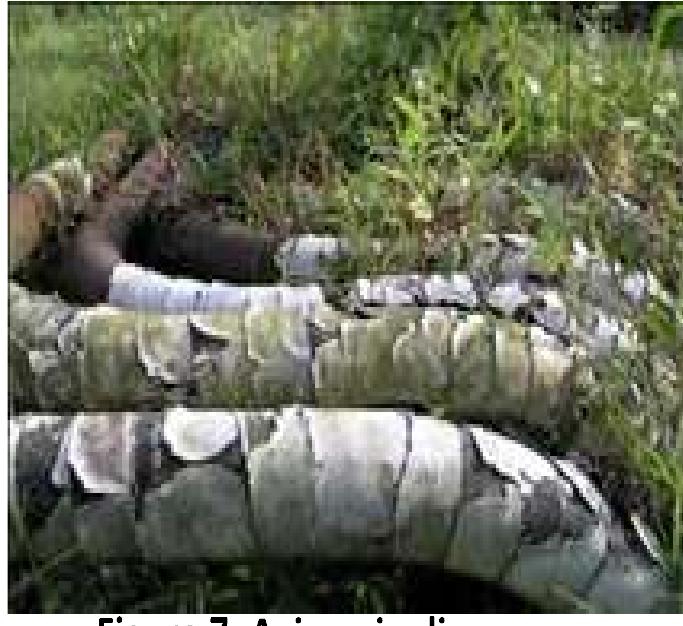 Source:premiumtimesng.com 