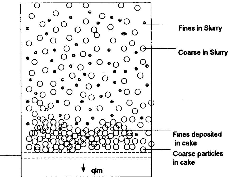 Schematic of cake filtration of a suspension containing
