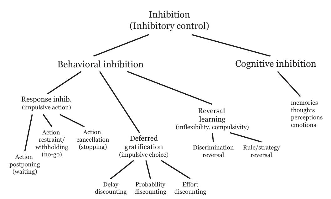 (PDF) Inhibition and impulsivity: Behavioral and neural basis of ...