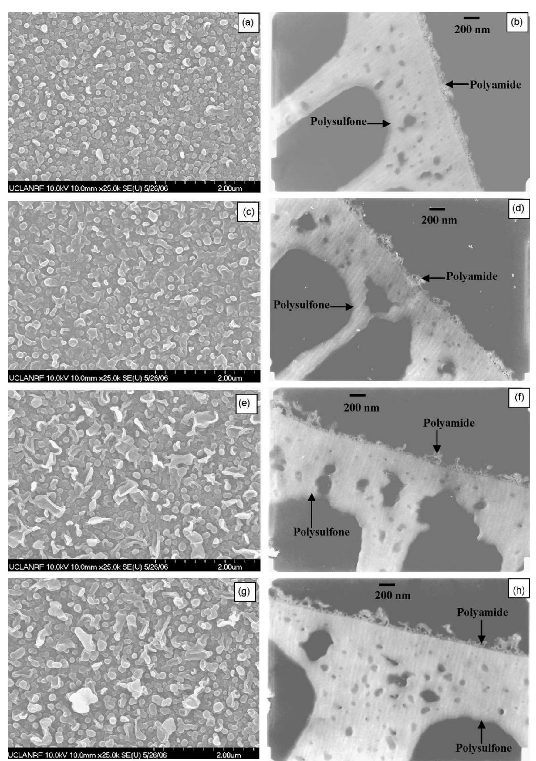 Isolation Membrane Pattern Figure 7 - from Impacts of reaction and curing conditions on