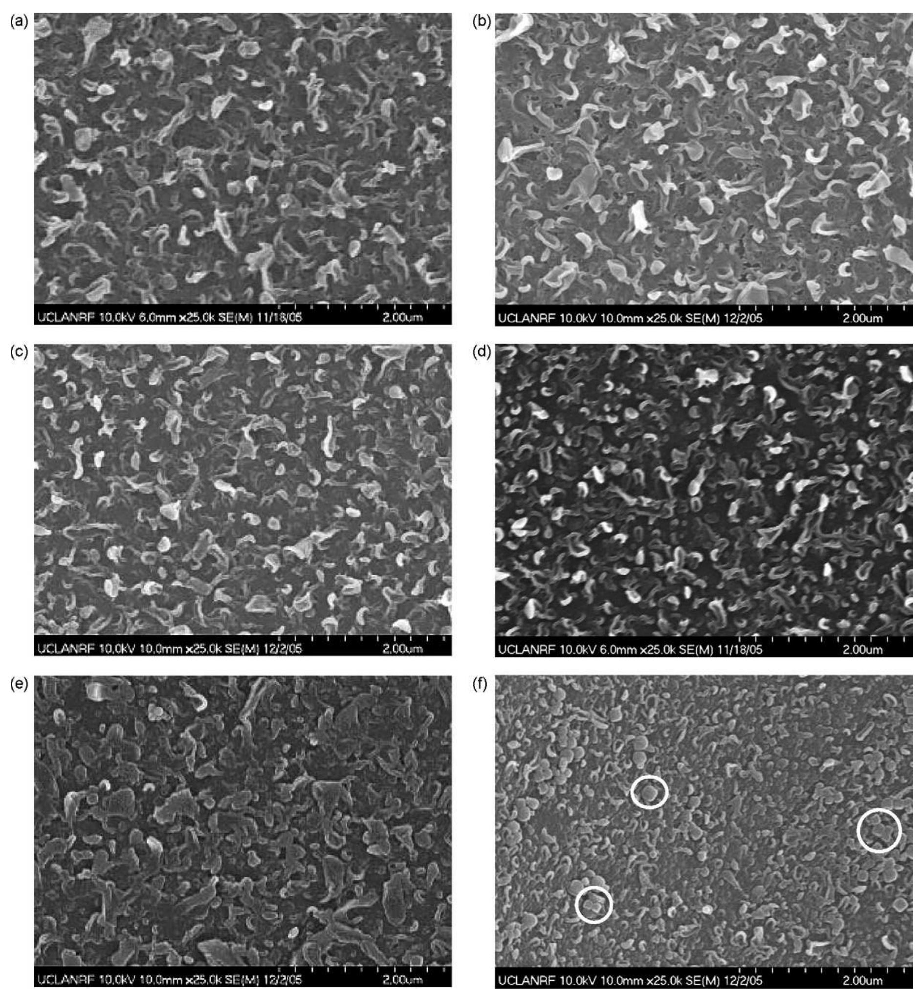 “ig. 4. sem images of (a) tfc and (b-f) tfn membrane