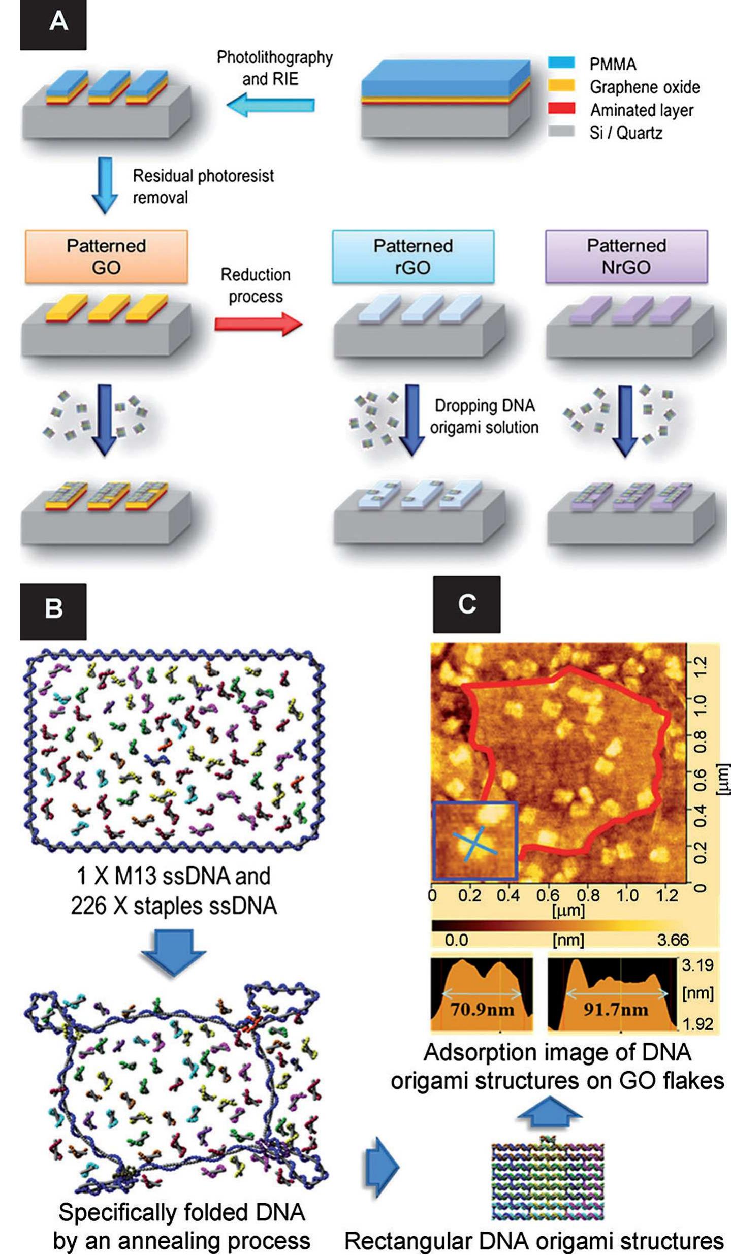 (a) patterning of dna origami structures on graphene-based