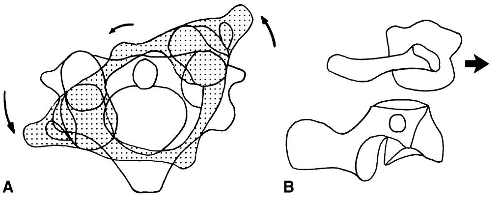 Figure 3 - from Biomechanics of the cervical spine. I: