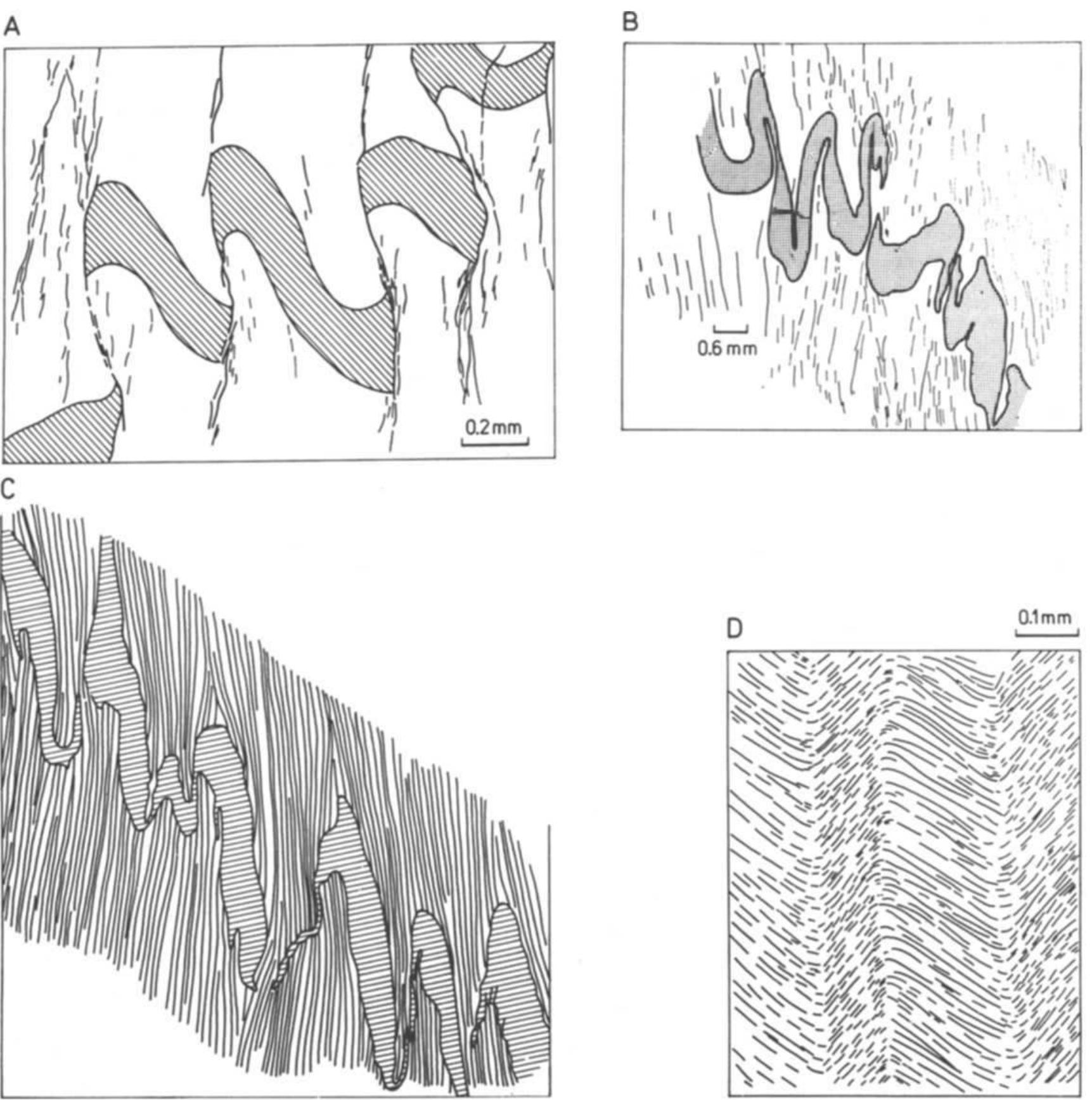 Examples of fold and cleavage (extensional vein arrays)