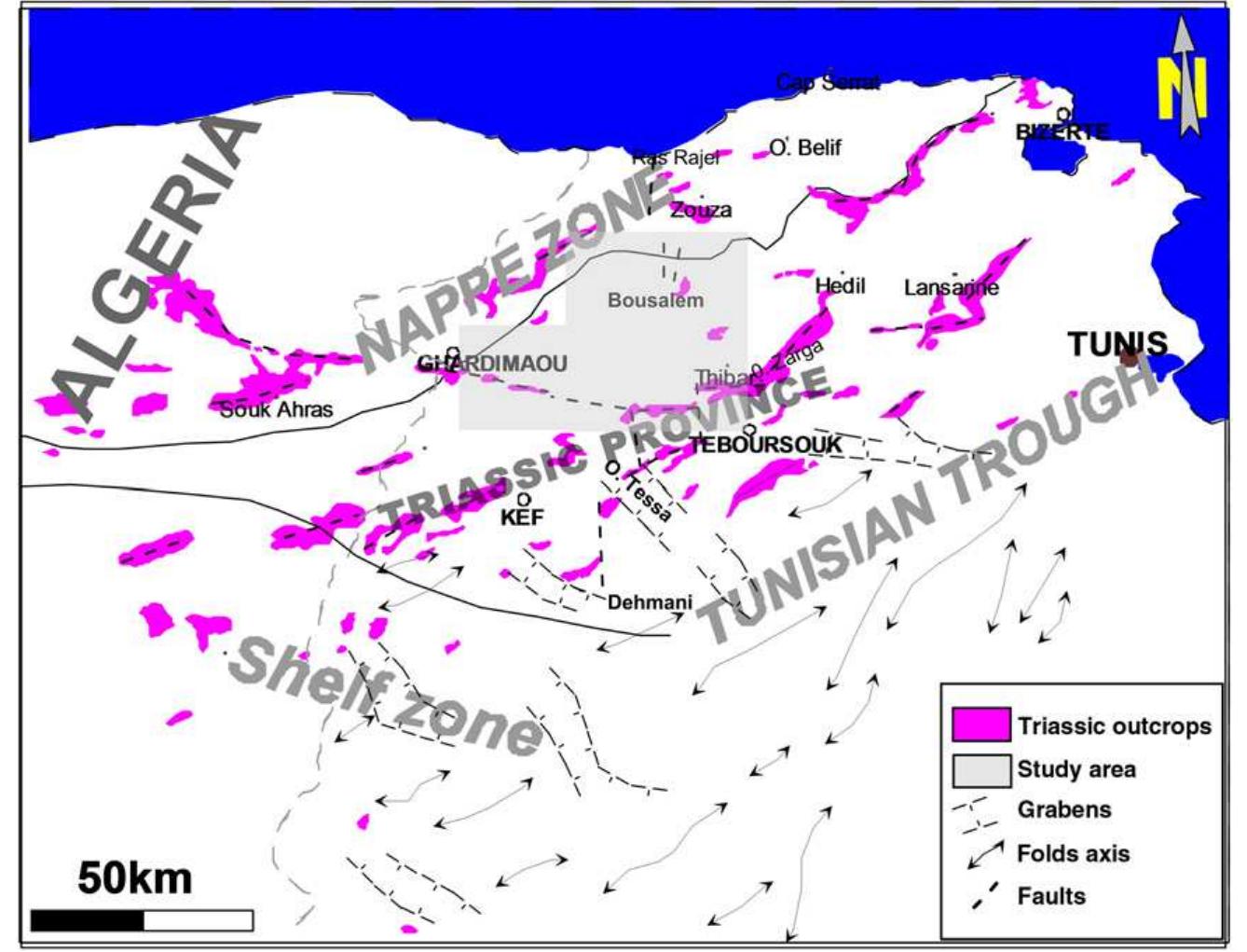 Simplified Structural Map Of Northern Tunisia The Simplified Structural Map Of Northern Tunisia The