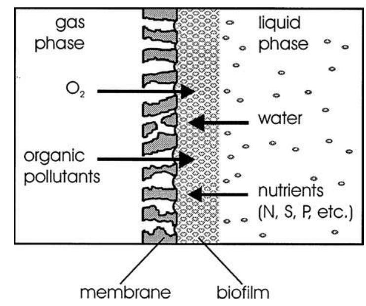 Figure 4 - from Bioreactors for treatment of VOCs and odours