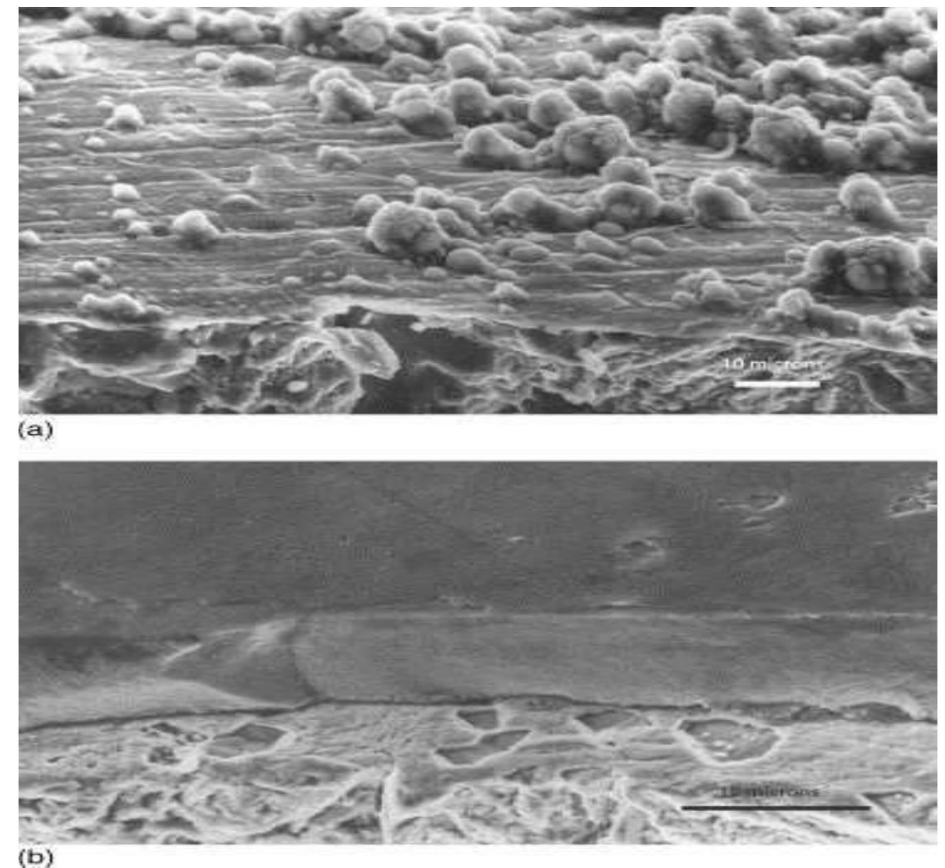 Figure 36 - Principles and applications of CVD powder