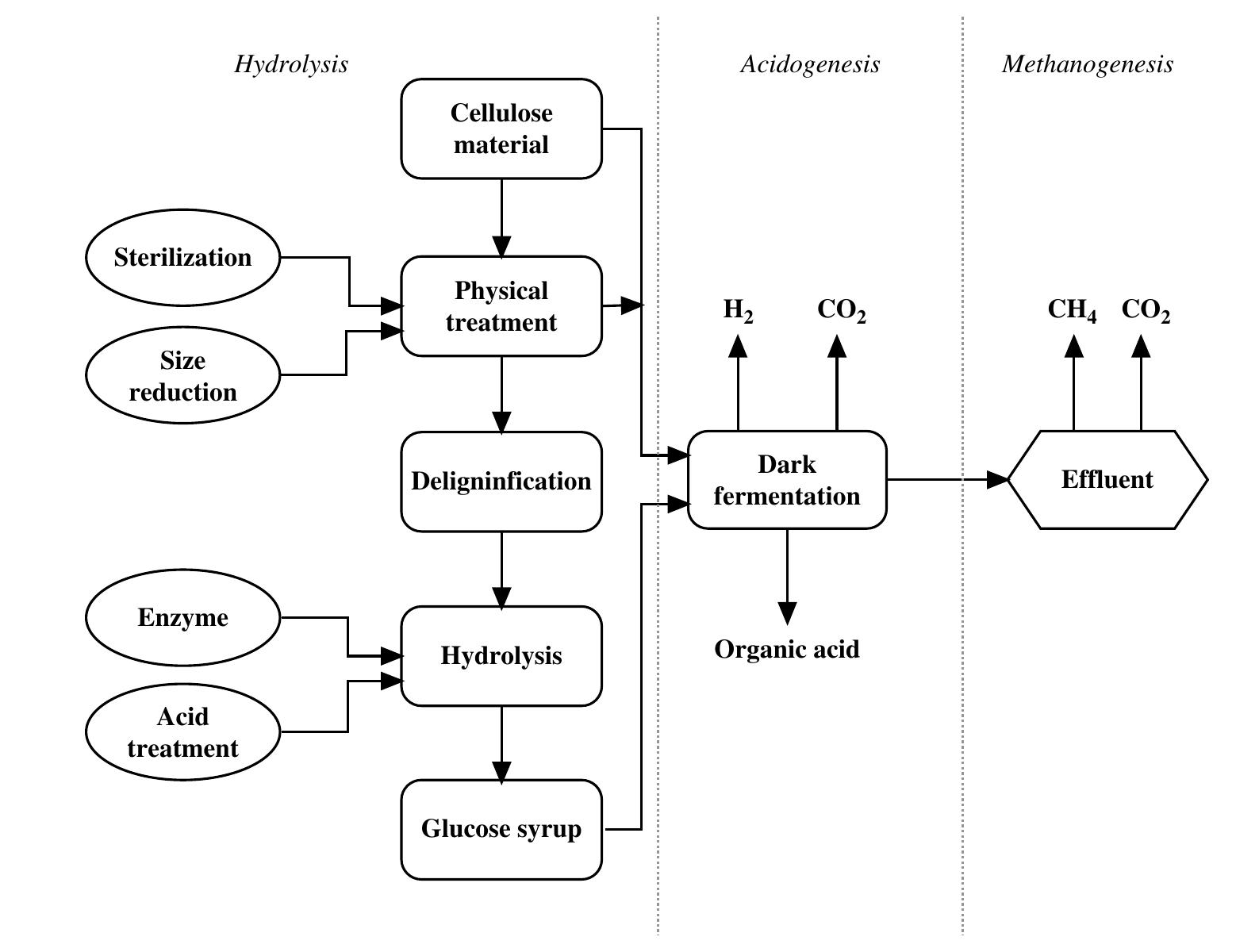 (PDF) Biohydrogen production from biomass and industrial wastes by dark ...