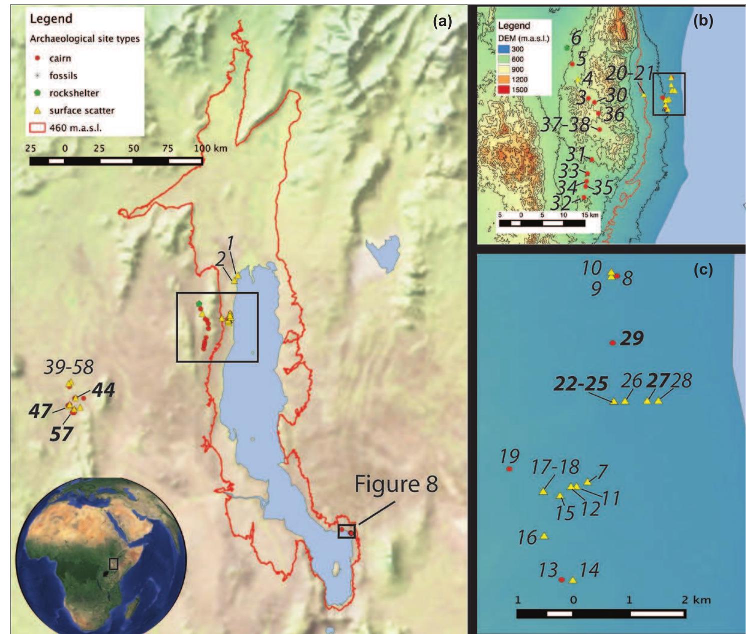 Of the 58 sites recorded during the 1980 survey of western Turkana, 26 were documented as cairn sites and 30 were surface artifact scatters, with seven cairn sites including surface artifact scatters (Fig. 1). Table 1 presents the summary of the sites identified in the 1980 survey and associated cultural materials. The material culture associated with the sites generally included 