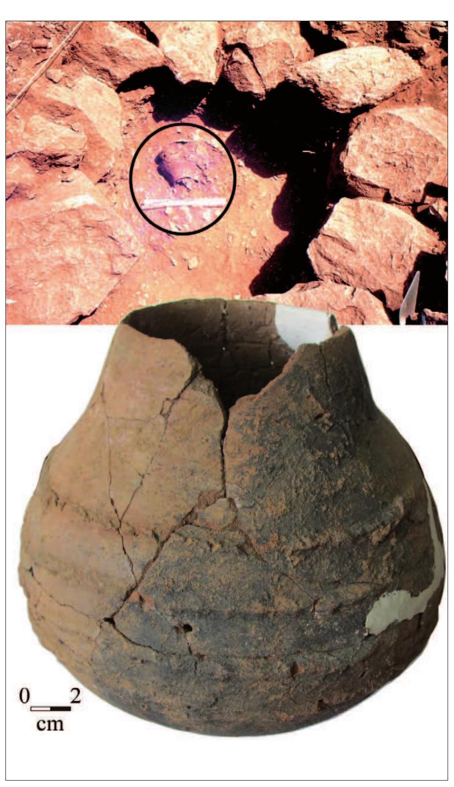 Figure 4. Jar with coils applied to the vessel exterior from Kalemuchuch Cairn (GbJd1) in situ (circled) and recon- structed in the National Museums of Kenya. 