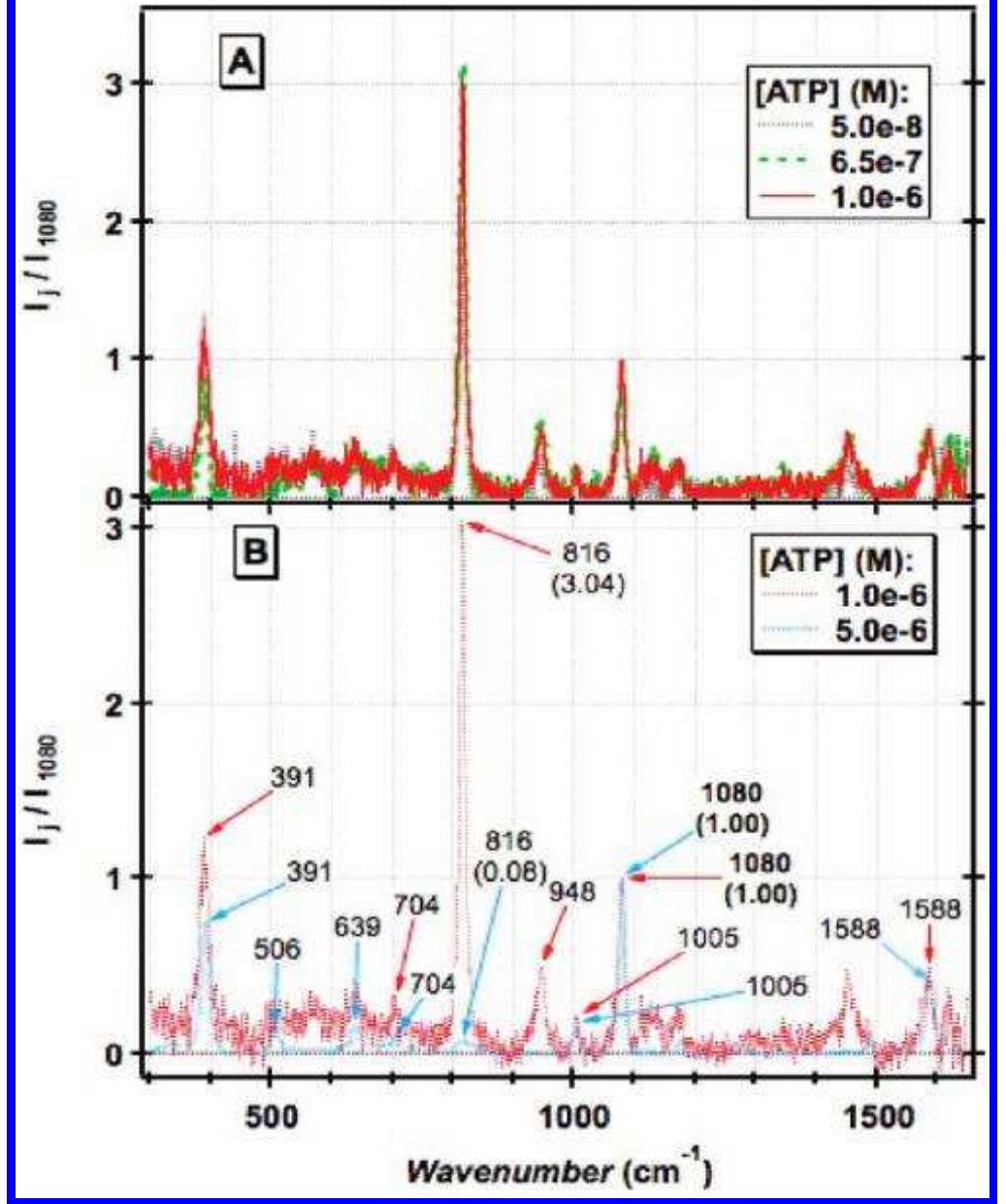 Atp On The Rocks Sers spectra of p-atp on the same au particles as in figure