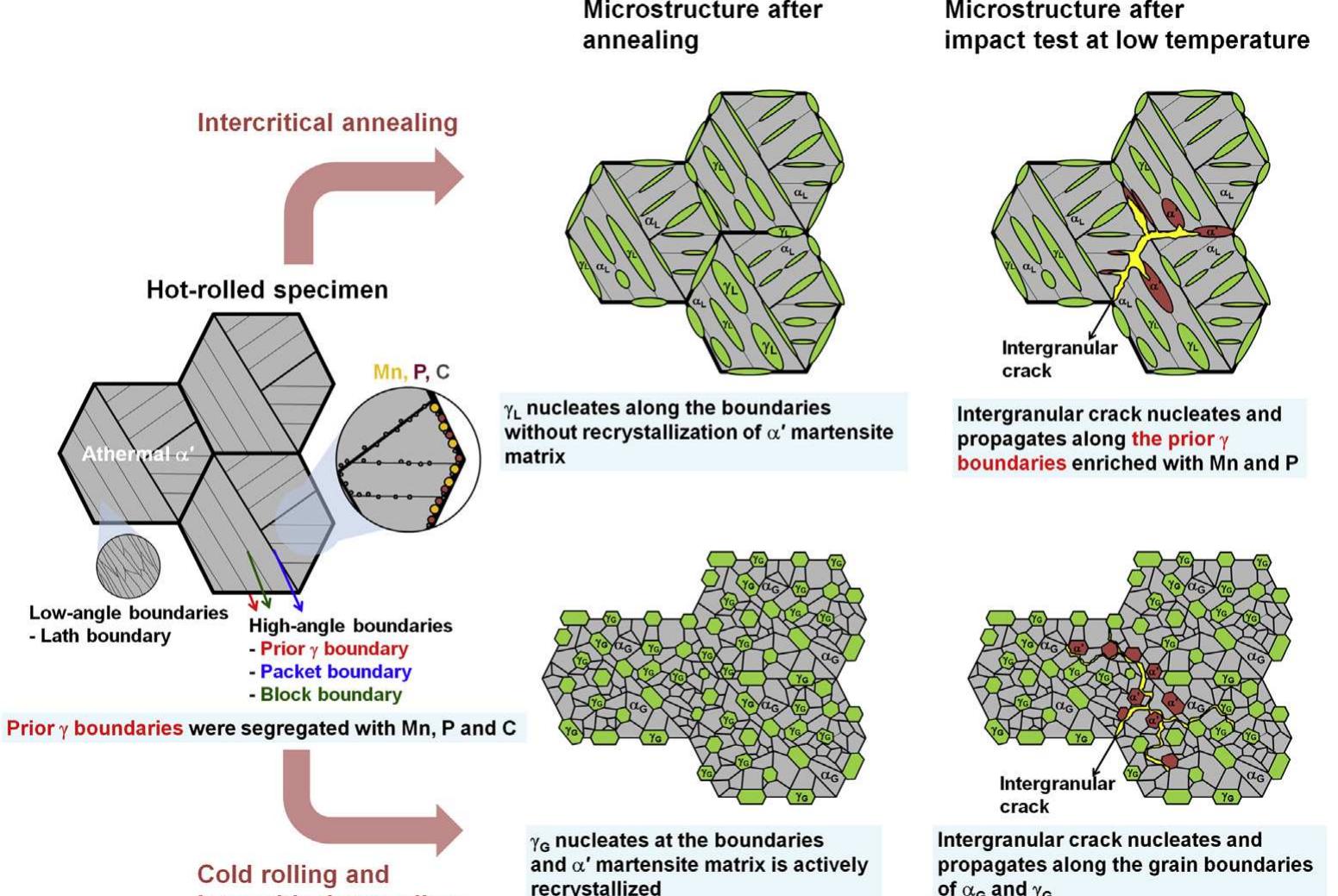(PDF) The effects of prior austenite grain boundaries and ...
