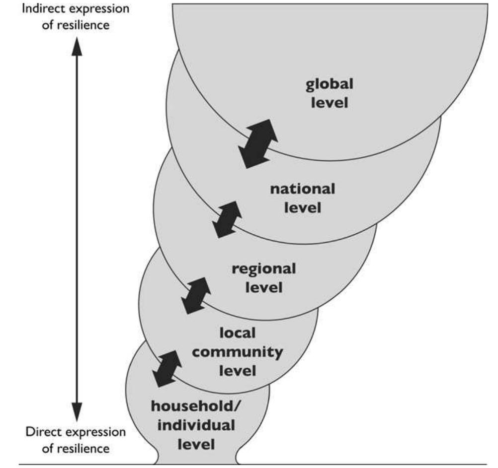 (PDF) Community resilience, globalization, and transitional pathways of ...
