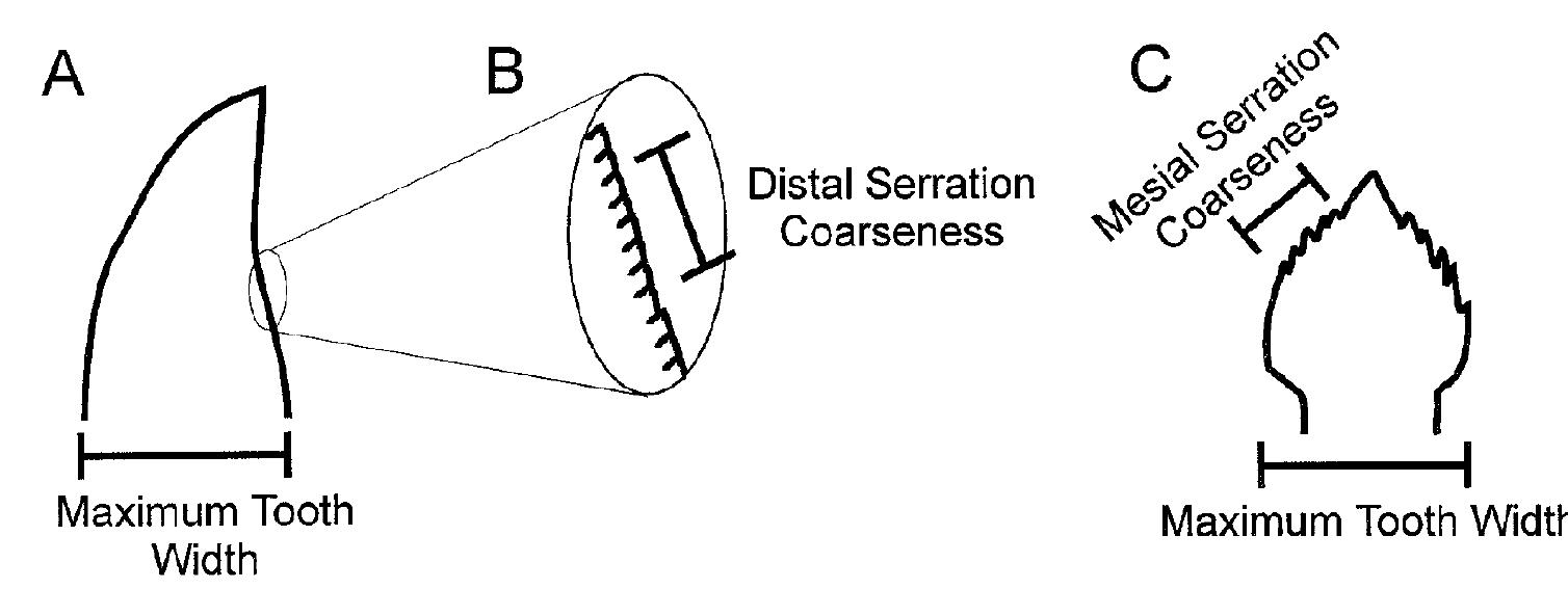 schematic of measurements used in this paper. a