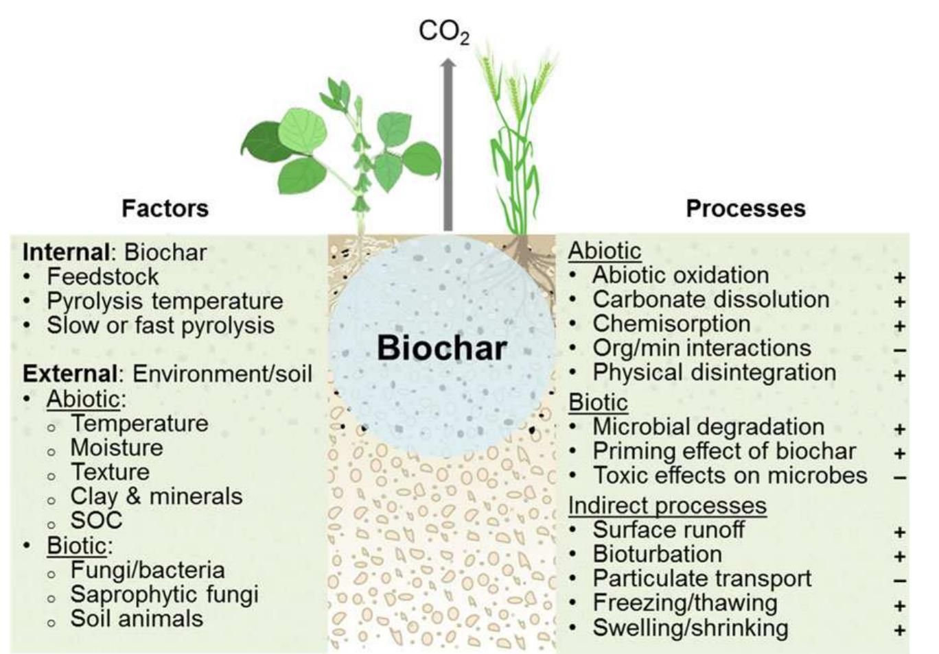 (PDF) Biochar stability in soil: meta-analysis of decomposition and ...