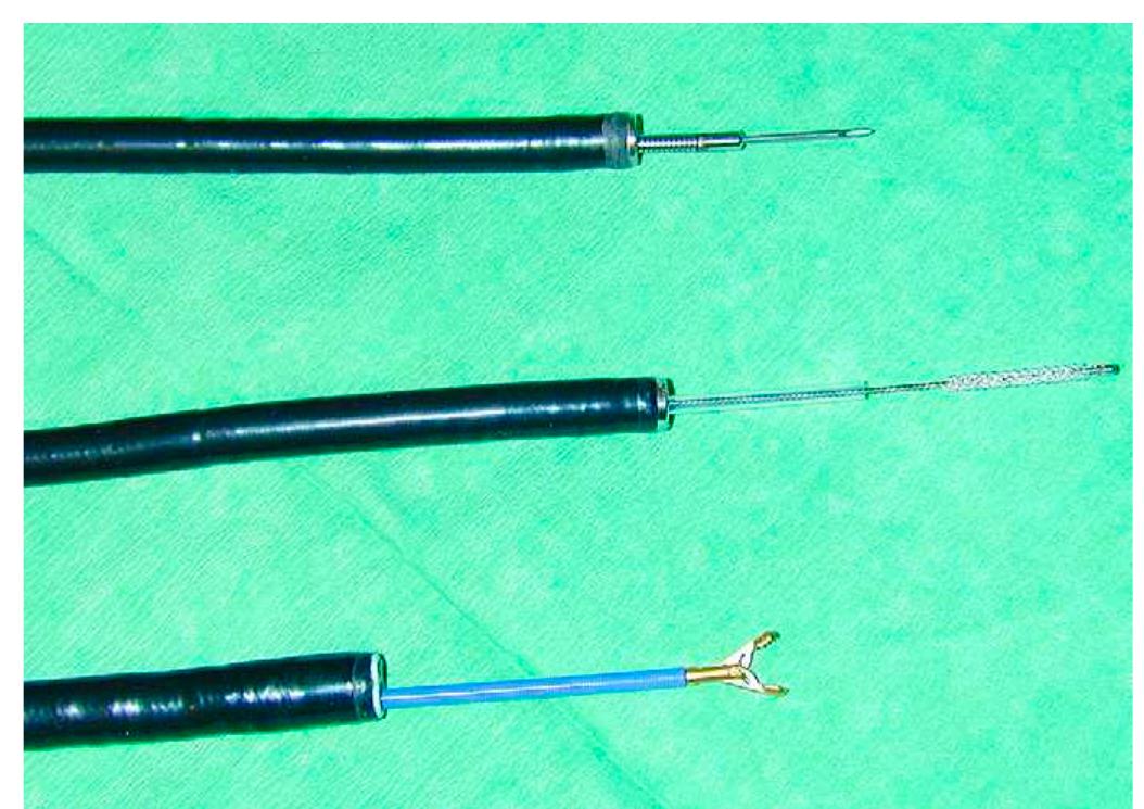 Figure 324 - from Atlas of Flexible Bronchoscopy