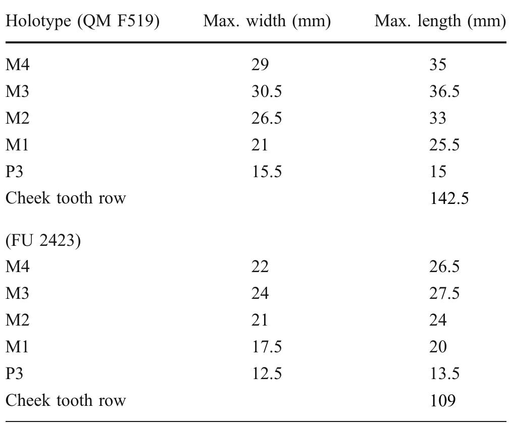Cheek-tooth measurements for the holotype of euowenia grata