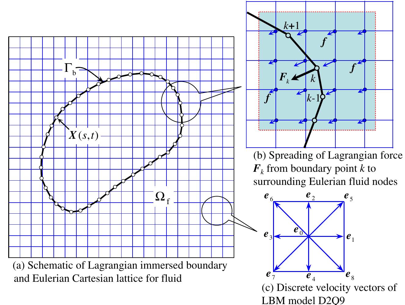 (PDF) Immersed boundary method and lattice Boltzmann method coupled FSI ...