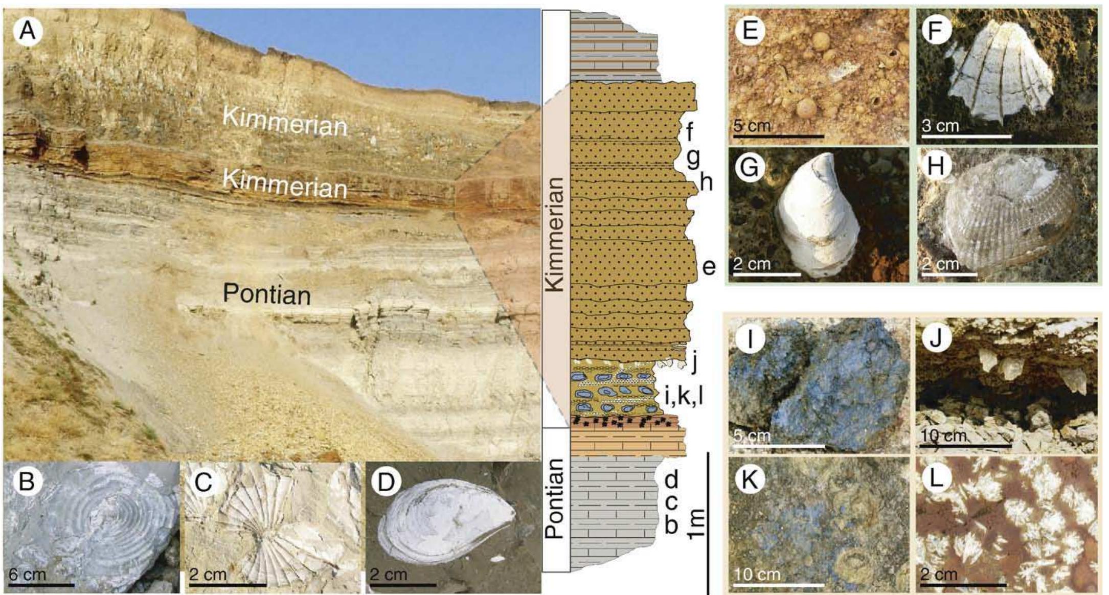 (PDF) Rise and fall of the Paratethys Sea during the Messinian Salinity ...