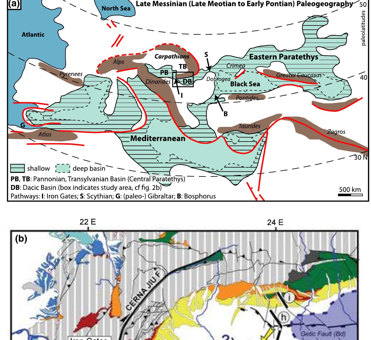 (PDF) Messinian sea level fall in the Dacic Basin (Eastern Paratethys ...