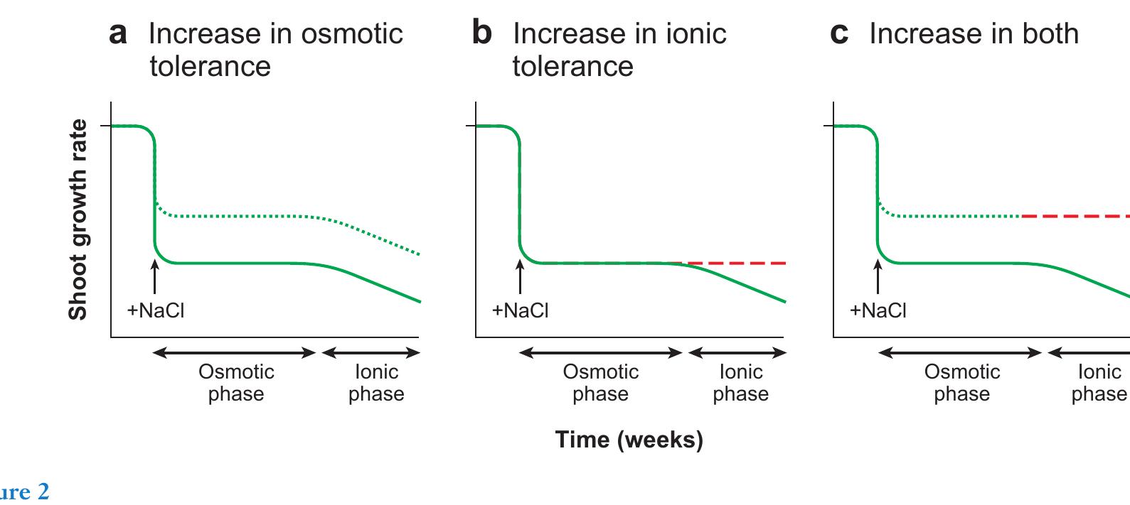 (PDF) Mechanisms of Salinity Tolerance