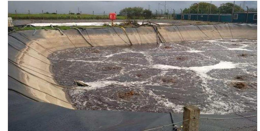 (PDF) AN ASSESSMENT OF OPEN DUMPS AND LANDFILL MANAGEMENT IN THE ...