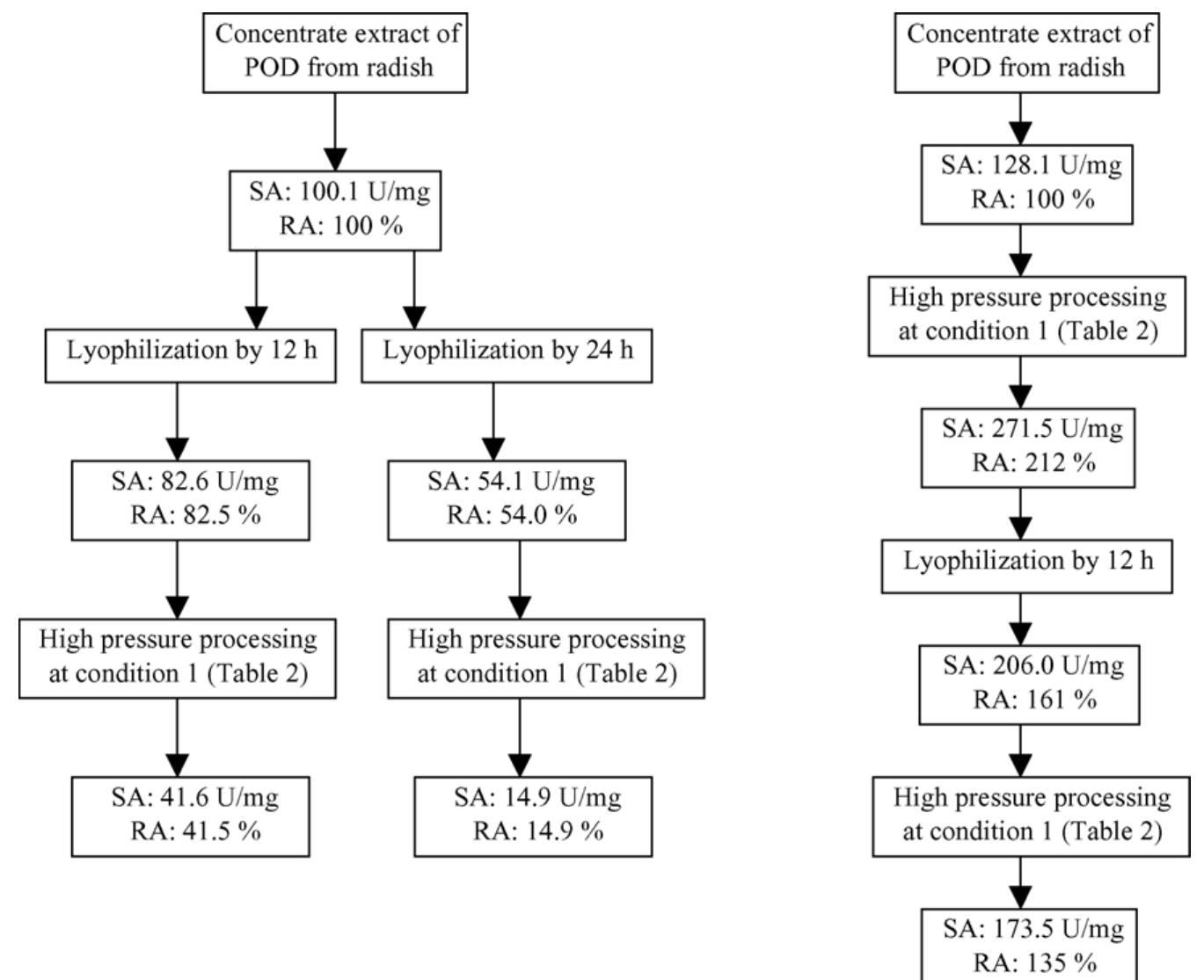 Fig. 2. Effect of lyophilization procedure and high pressure processing on the activity of POD concentrated extracts from radish. SA refers to the specific activity of the extracts in each point and RA refers to the residual activity in relation to the initial specific activity. 